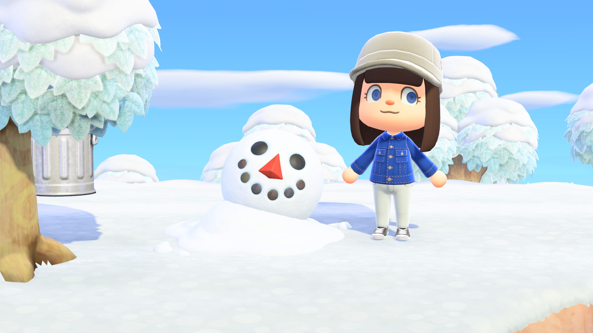Animal Crossing en janvier