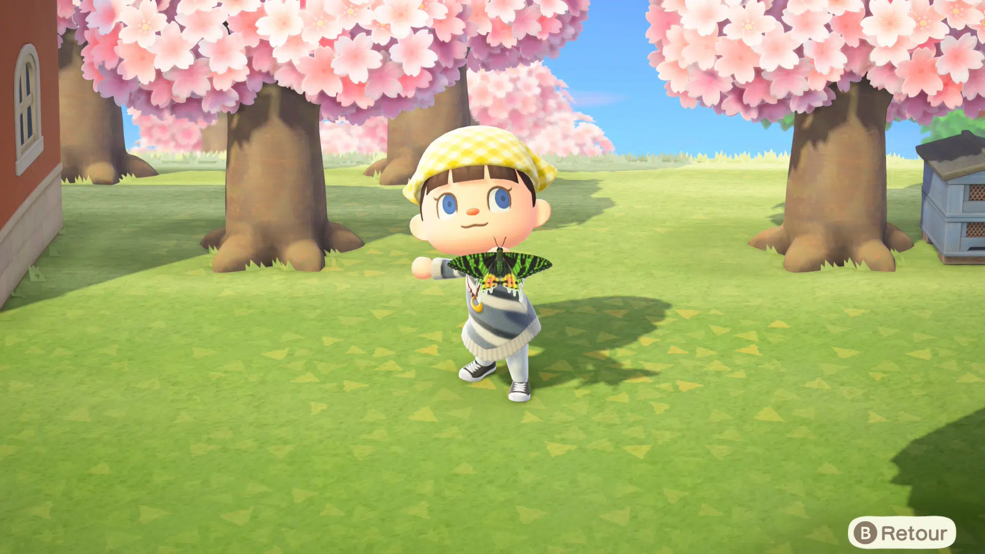 papillon-avril-animal-crossing papillon avril animal crossing