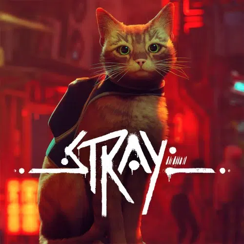 Stray Stray